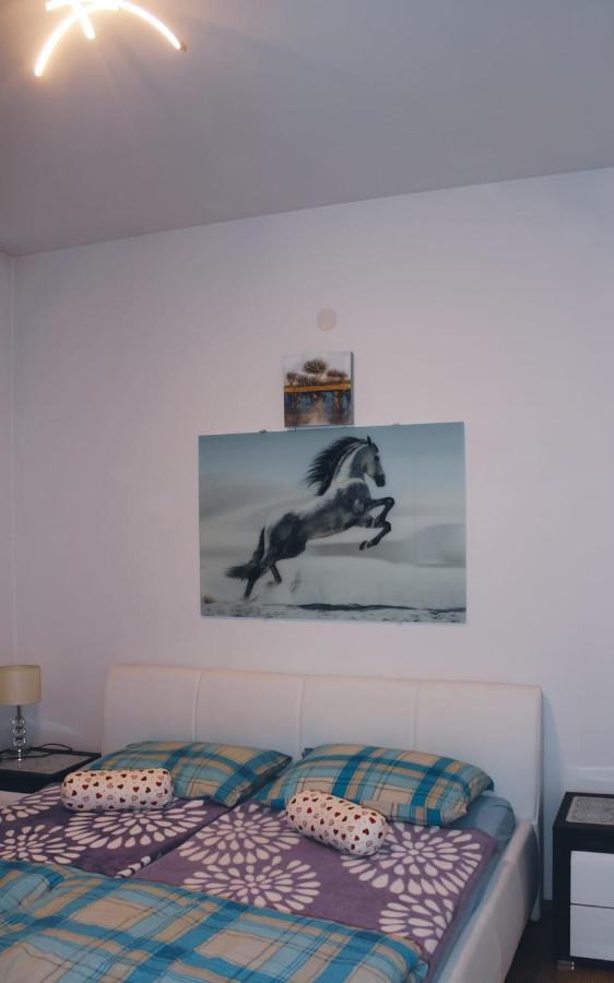 Jezdovec Apartments Krapec מראה חיצוני תמונה